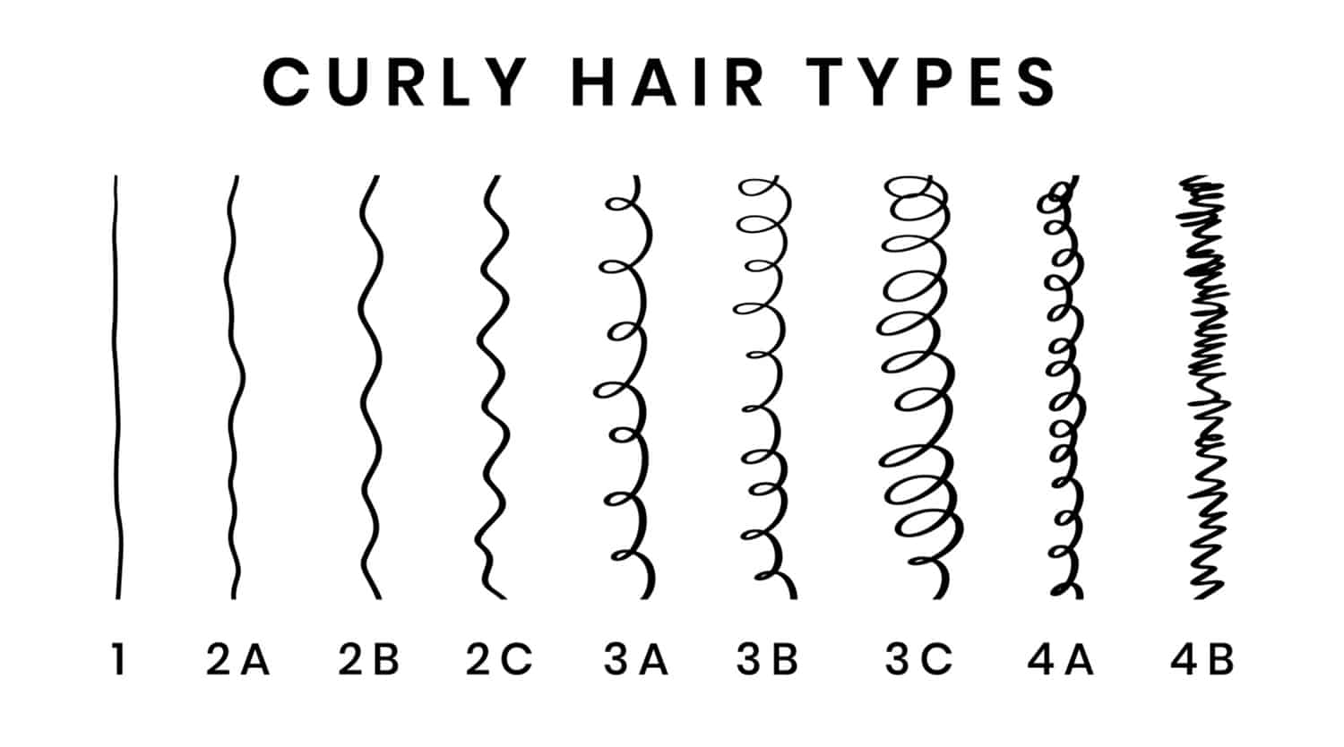 what makes curly hair types