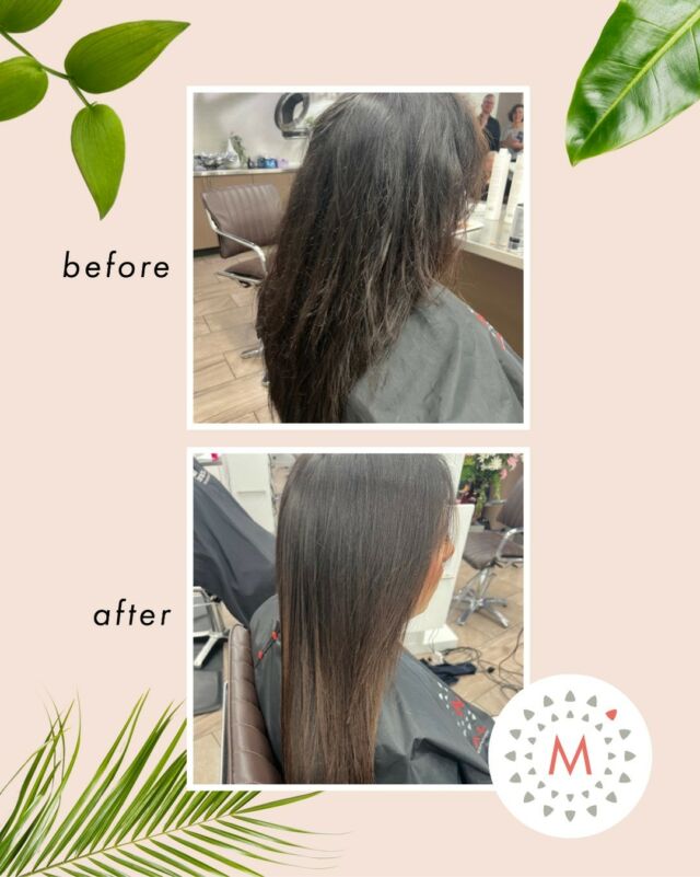 Hydrated, shining and THRIVING 💆‍♀️✨

Bring life back into your hair with our nourishing, 100% vegan smoothing treatments! 🍃

#malinausa #professionalhaircare #smoothingtreatment #hairtransformation
