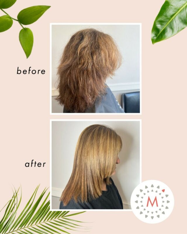Small changes can make a BIG difference! Get rid of frizz and see shine with Malina's professional smoothing treatments! Check out our full selection of products using the link below! 🧚🌟

#malinausa #professionalhaircare #hairtransformation #naturalingredients #defrizz